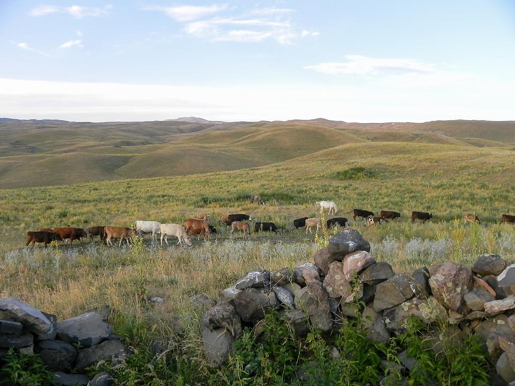 DSCN9363.jpg - Geghamské hory