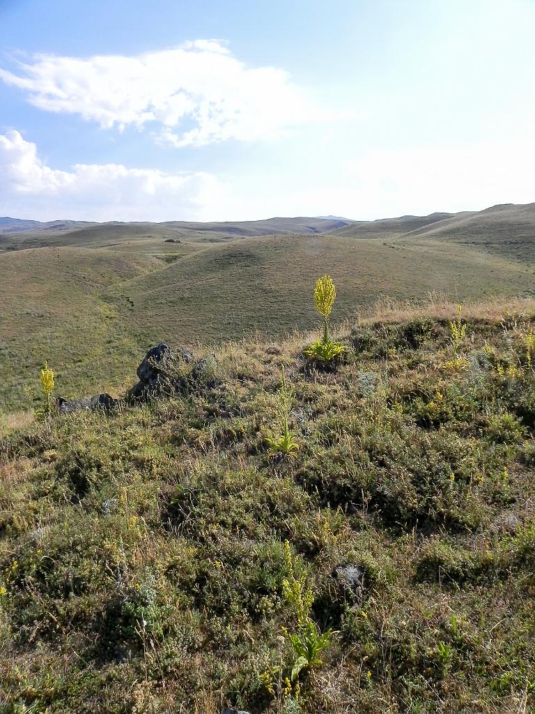 DSCN9406.jpg - Geghamské hory