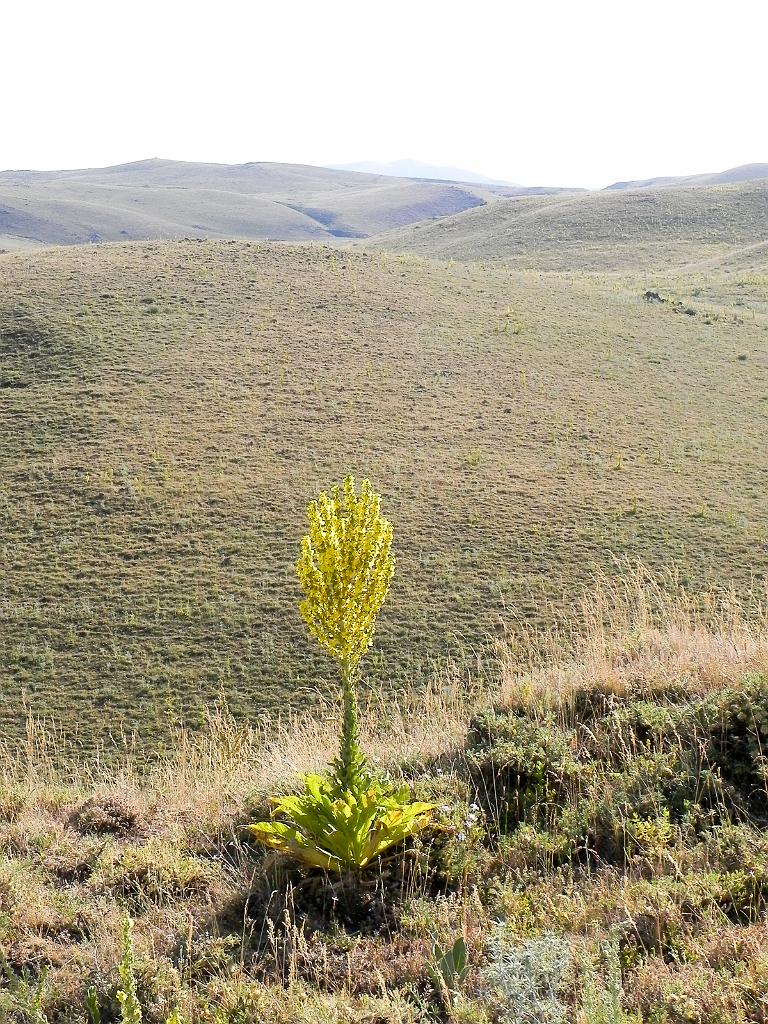 DSCN9408.jpg - Geghamské hory