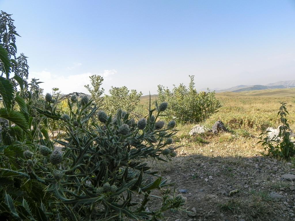 DSCN9418.jpg - Geghamské hory