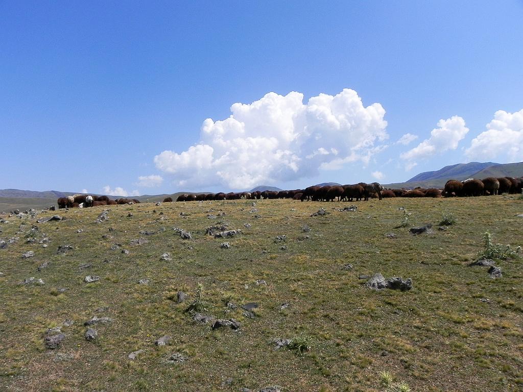 DSCN9449.jpg - Geghamské hory