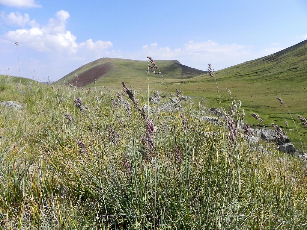 DSCN9608.jpg - Geghamské hory