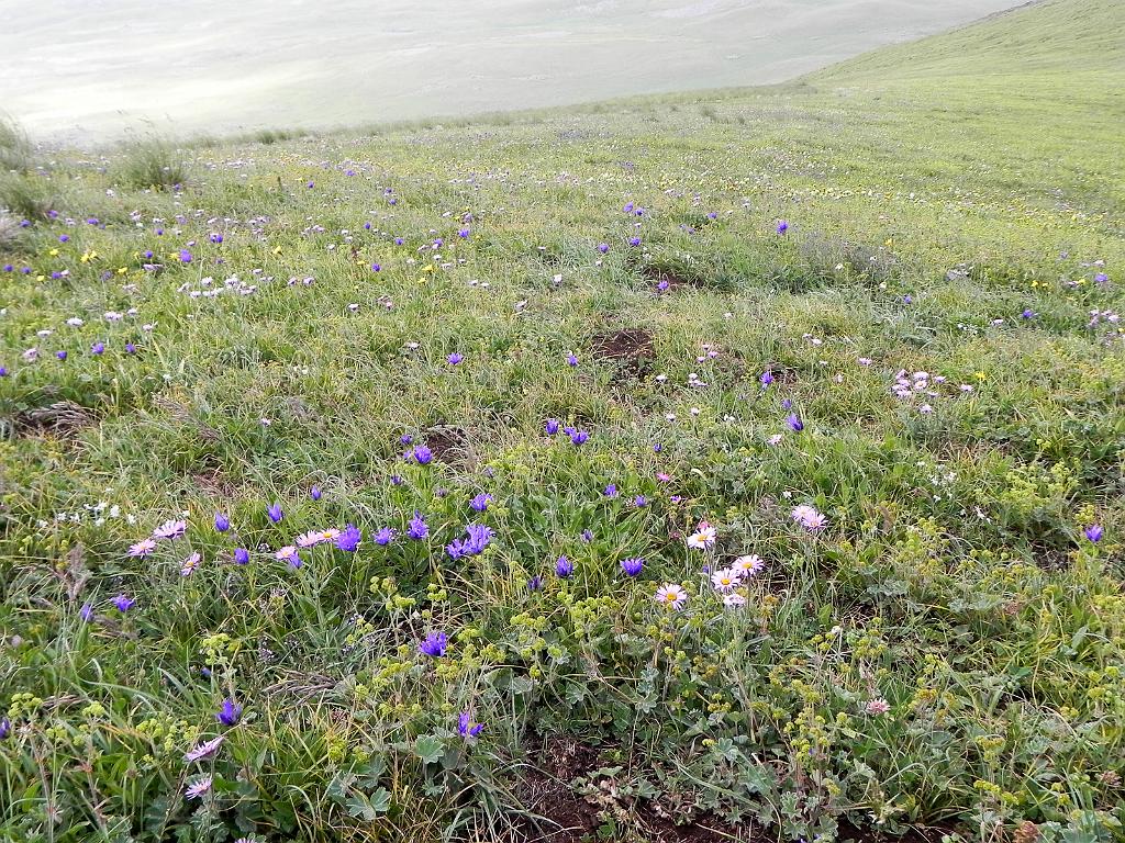 DSCN9712.jpg - Geghamské hory