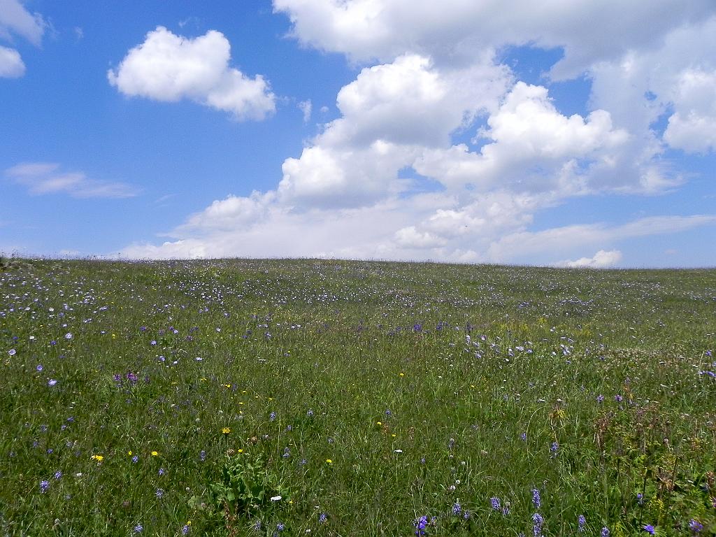 DSCN9781.jpg - Geghamské hory