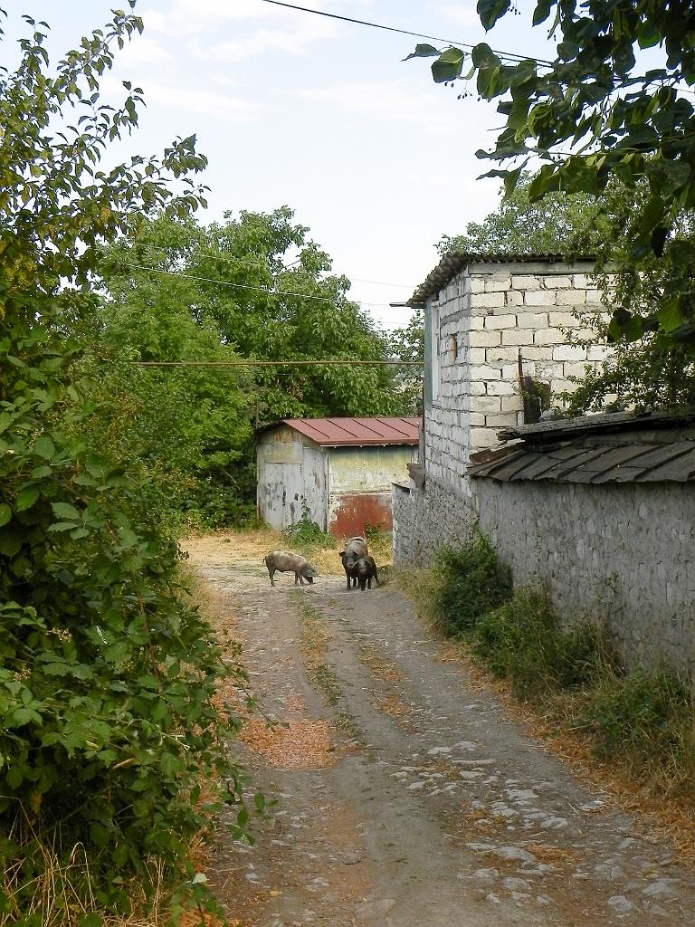 DSCN9958.jpg - Šuša - Shusi (Náhorní Karabach)