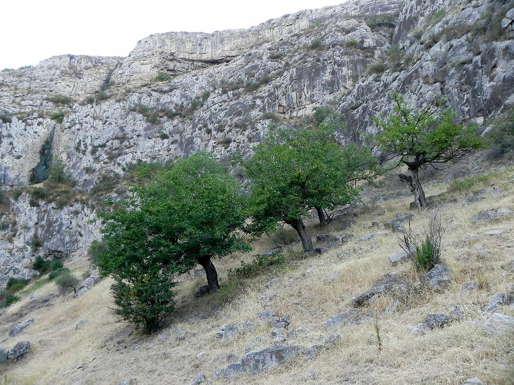 DSCN9989.jpg - Údolí řeky Karkar - stezka Janapar