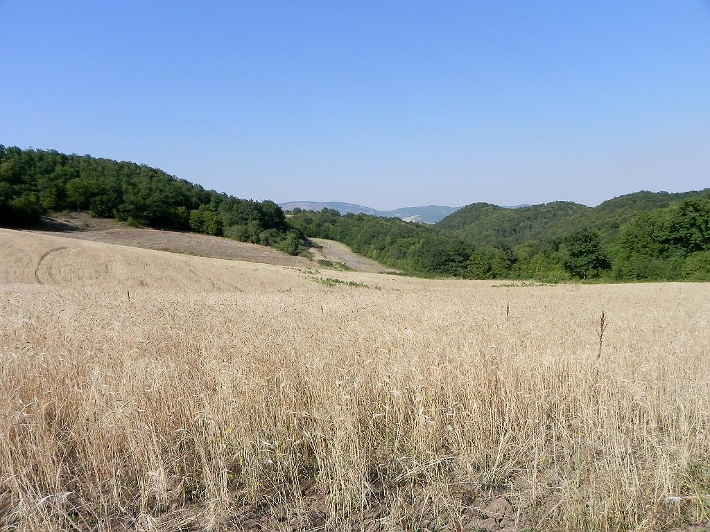 DSCO_10.jpg - Stezka Janapar