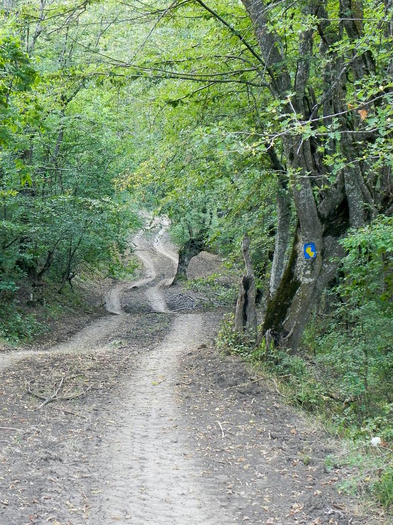 DSCO_37.jpg - Stezka Janapar