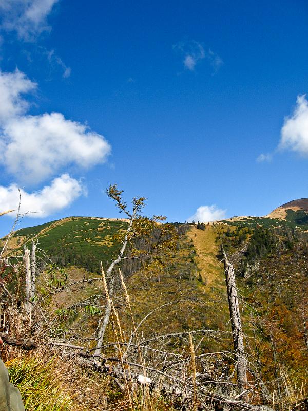 IMG_0580.jpg - Nízké Tatry
