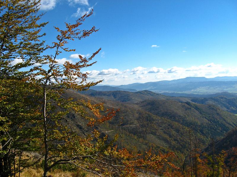 IMG_0584.jpg - Nízké Tatry