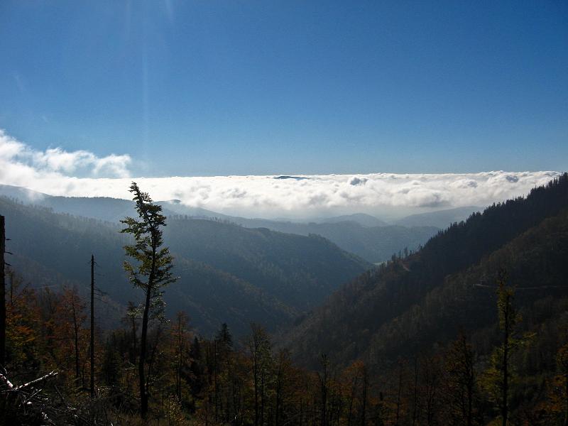 IMG_0630.jpg - Nízké Tatry