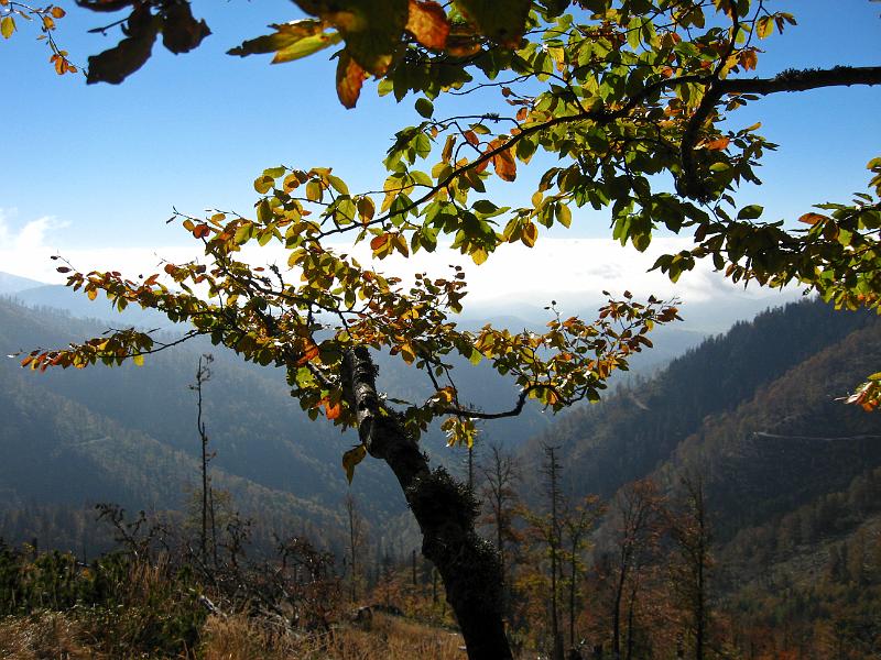 IMG_0631.jpg - Nízké Tatry