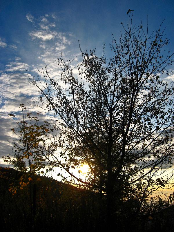 IMG_0646.jpg - Nízké Tatry