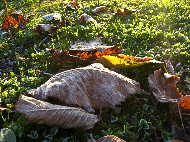 IMG_0648.jpg - Nízké Tatry