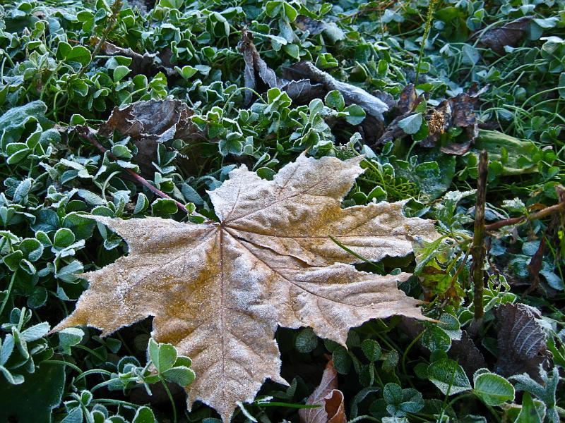 IMG_0649.jpg - Nízké Tatry