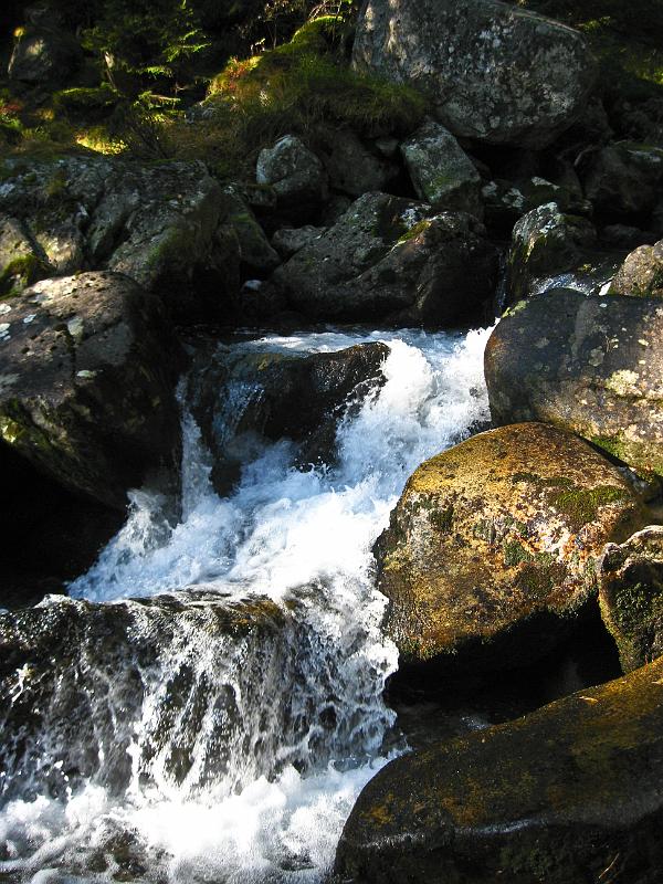 IMG_0664.jpg - Vysoké Tatry