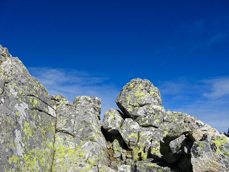 IMG_0730.jpg - Baranie rohy