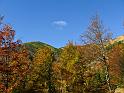 IMG_0550