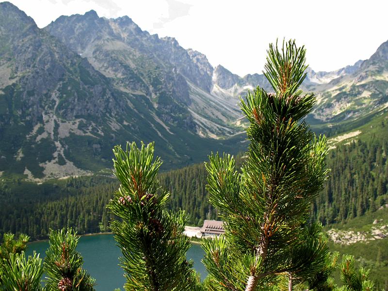 IMG_0986.jpg - Popradské pleso z výstupu na Ostrvu