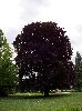 100_2139_.jpg