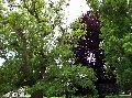 100_2142_.jpg