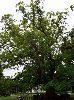 100_2143_.jpg