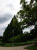 100_2144_.jpg