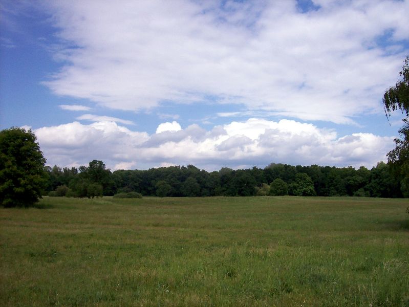 100_2290.jpg