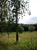 100_2291_.jpg