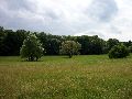 100_2292_.jpg