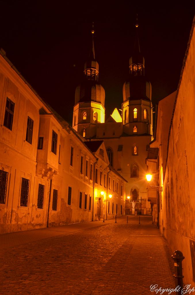 DSC_0099.jpg