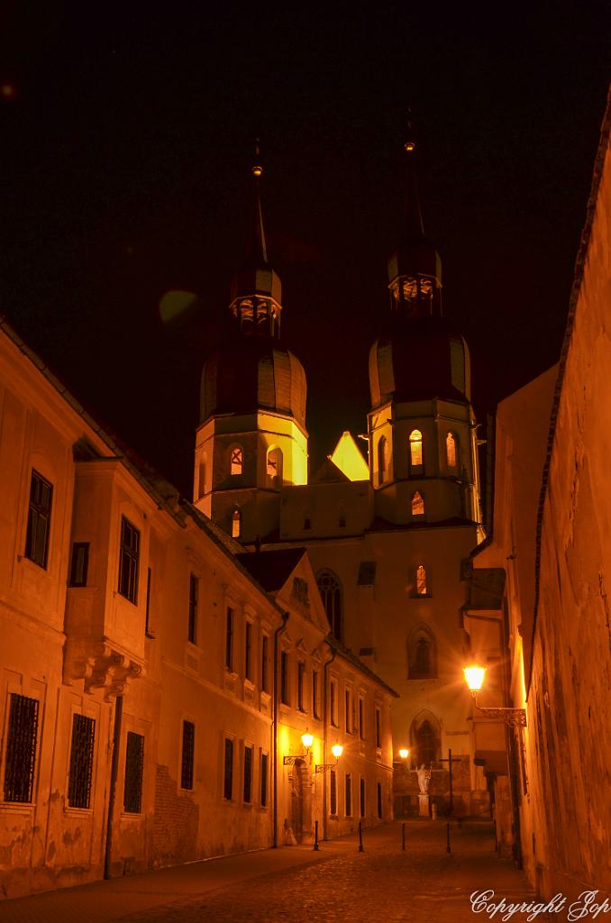 DSC_0100.jpg