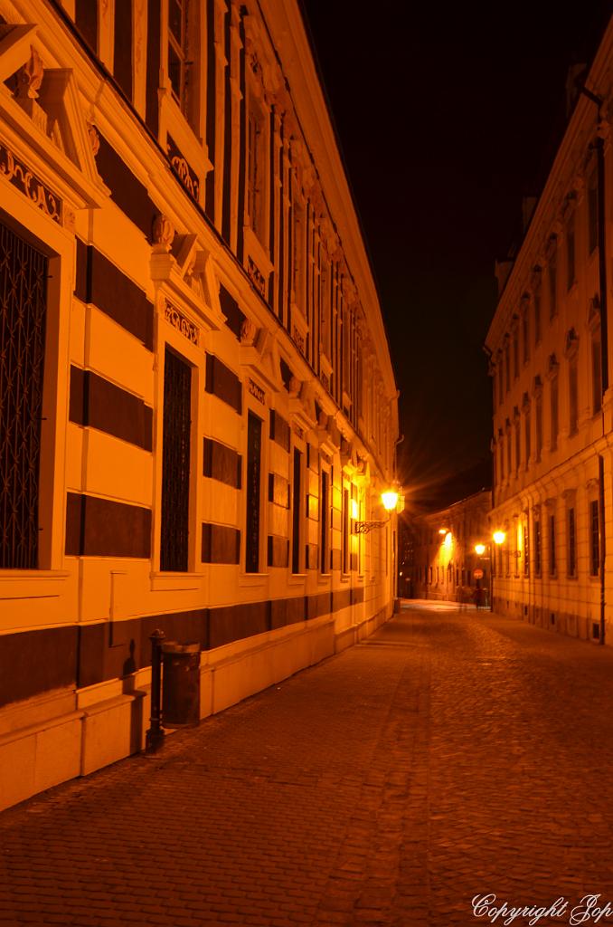 DSC_0101.jpg