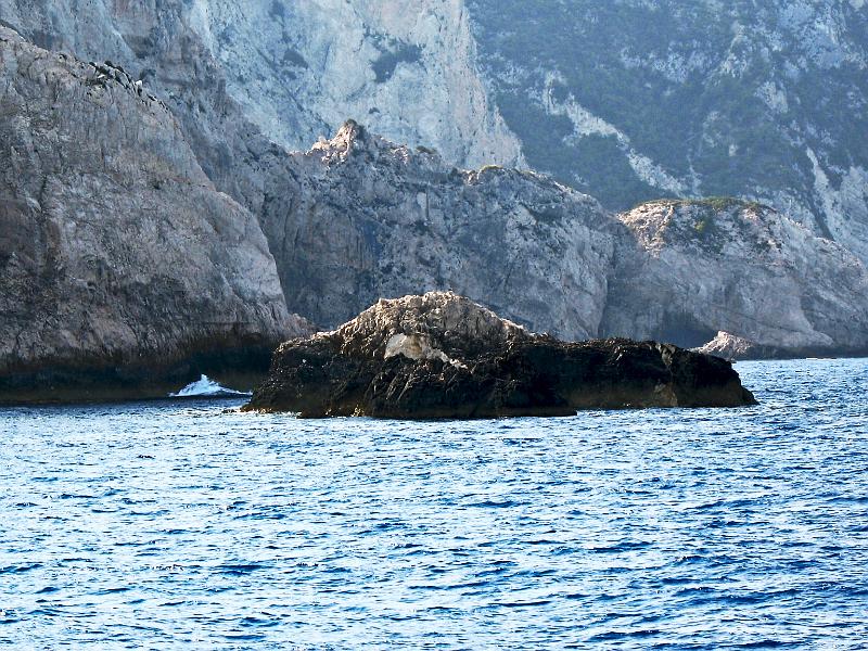 IMG_4118.jpg - Zakynthos