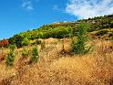IMG_4602
