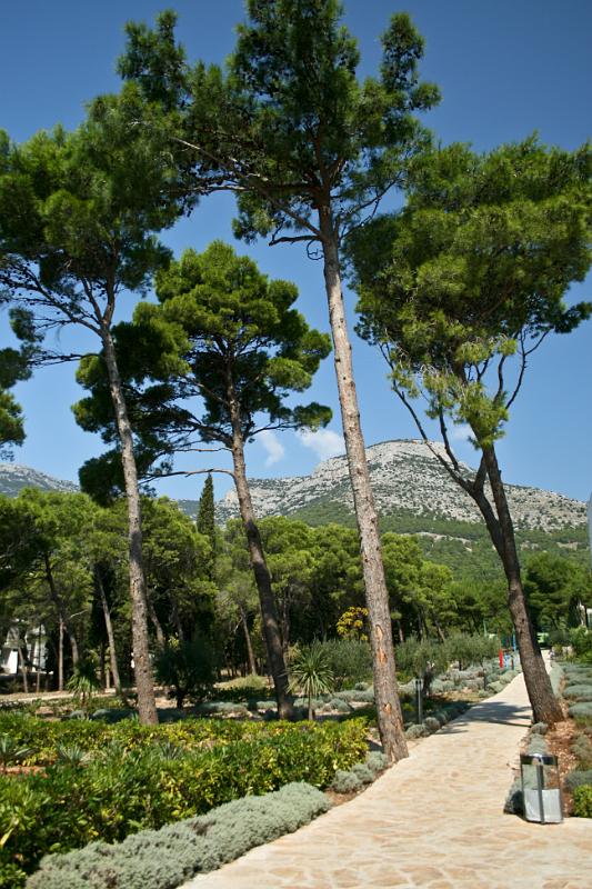 100923-059.jpg - Brač