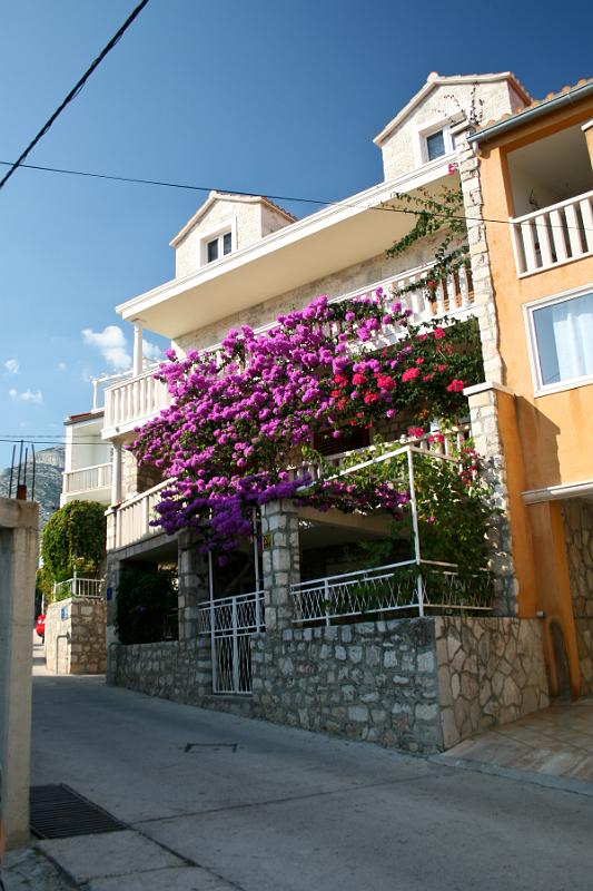 100923-098.jpg - Brač - Bol