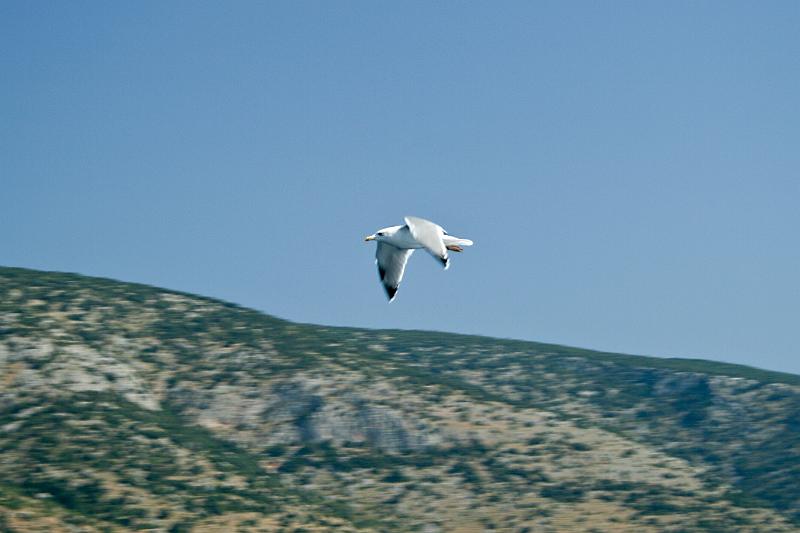 100923-025.jpg - Racek