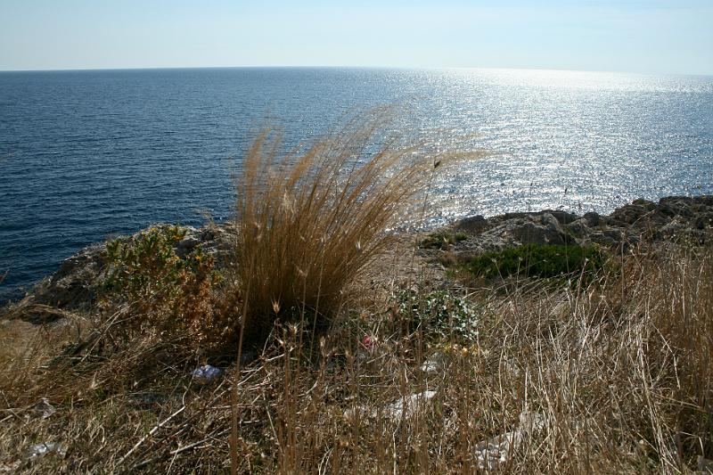 100924-180.jpg