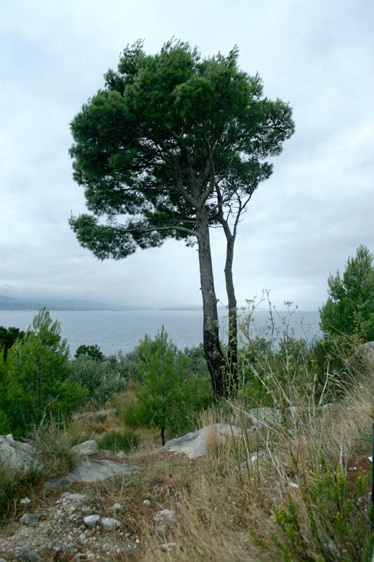 100925-029.jpg