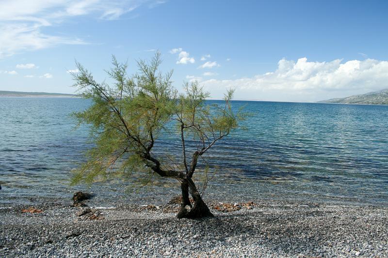 100928-032.jpg - Starigrad - kemp