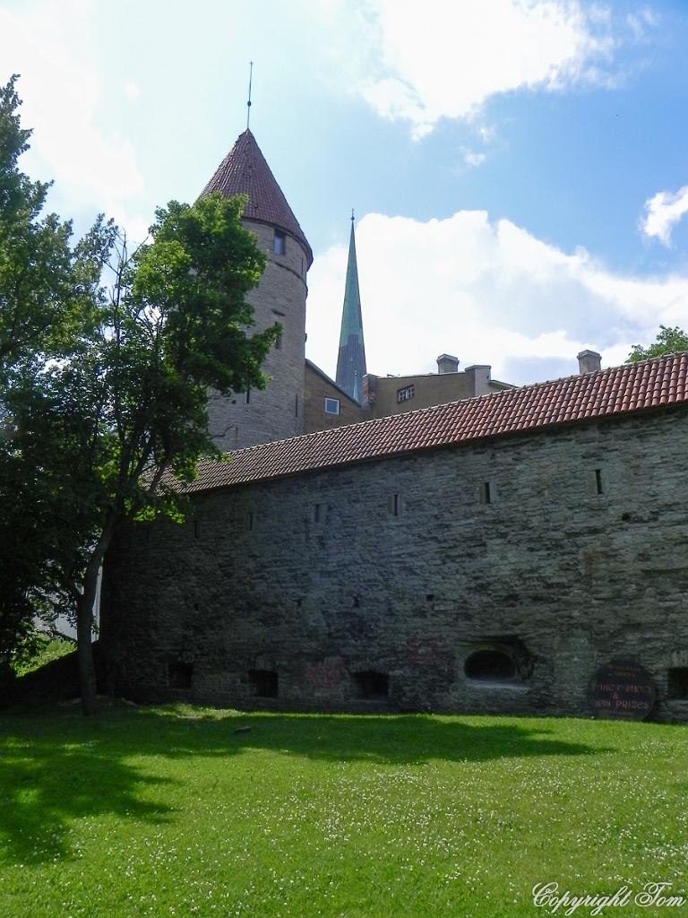 DSCN6304.jpg - Tallin