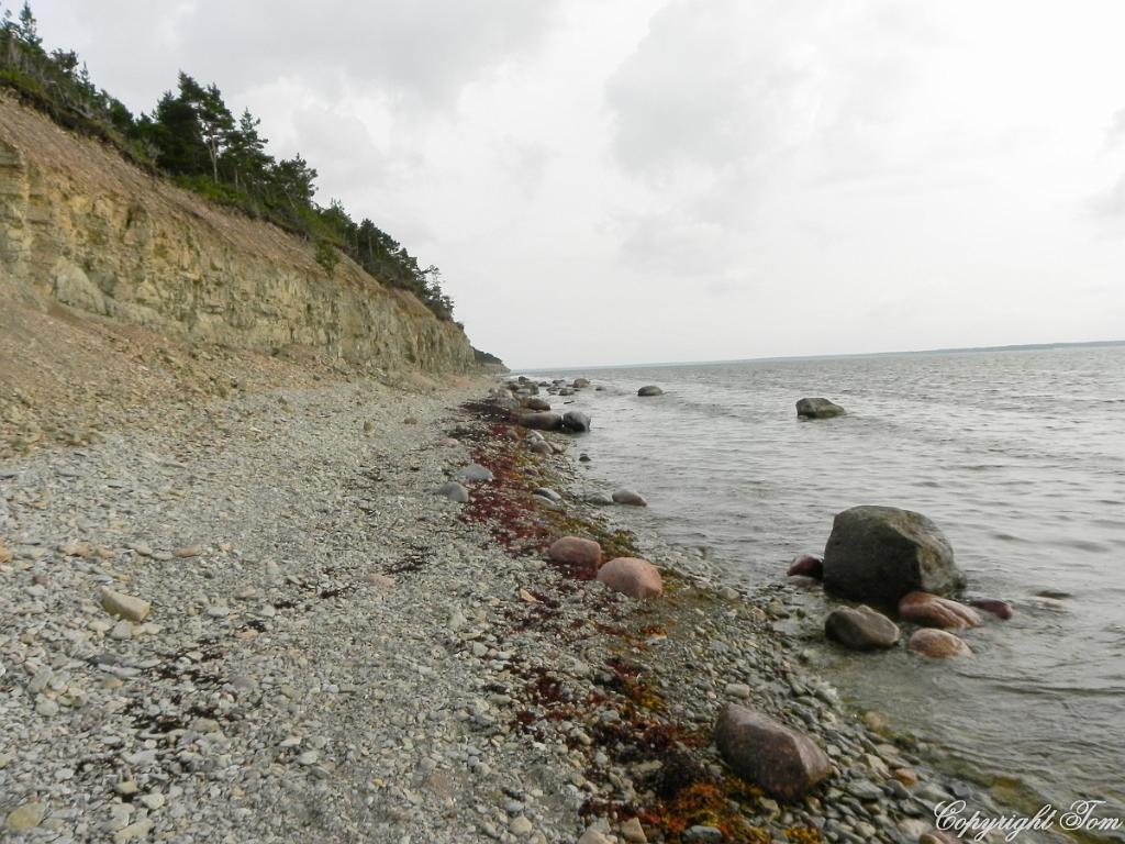 DSCN6903.jpg - ostrov Saaremaa