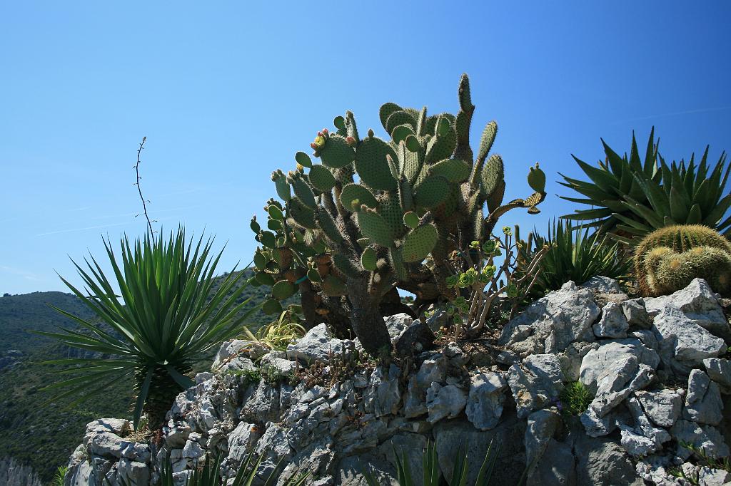 110615-198.JPG