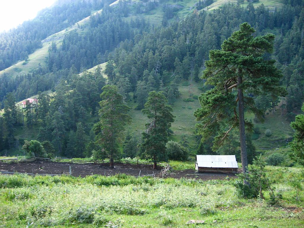 IMG_4852.jpg - Borjomi - Kharagauli NP