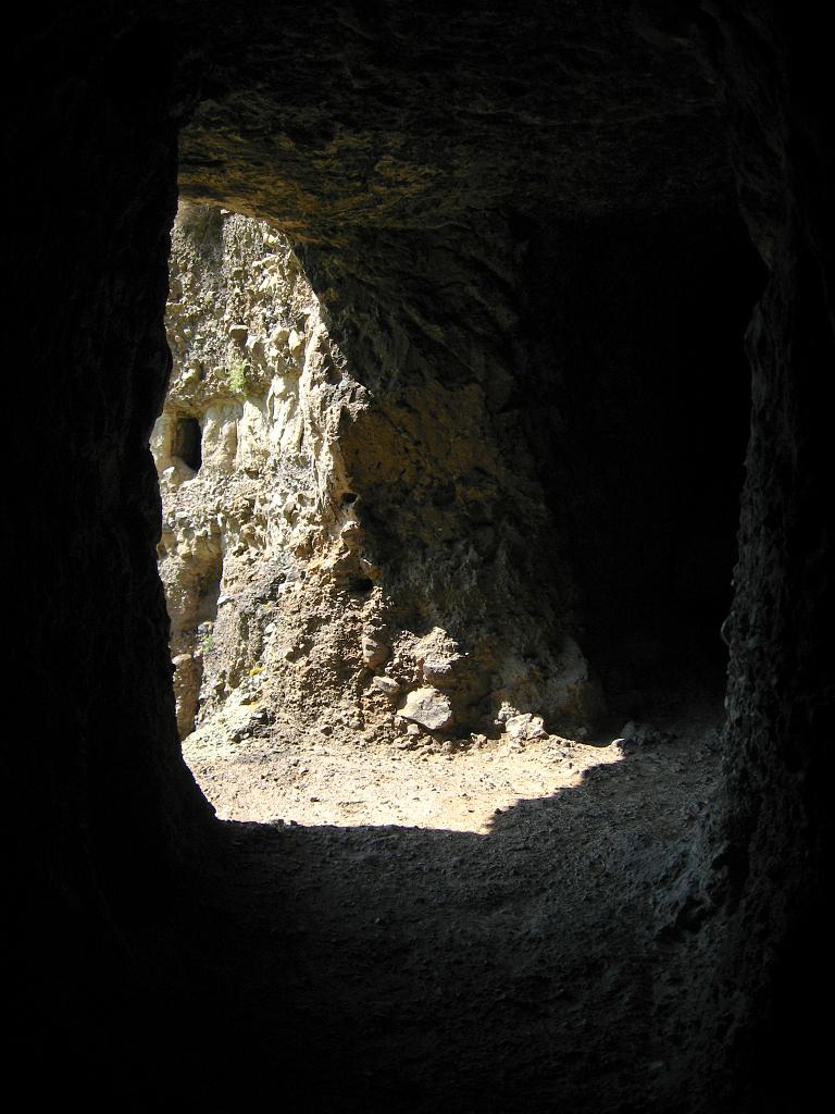 IMG_5282.jpg
