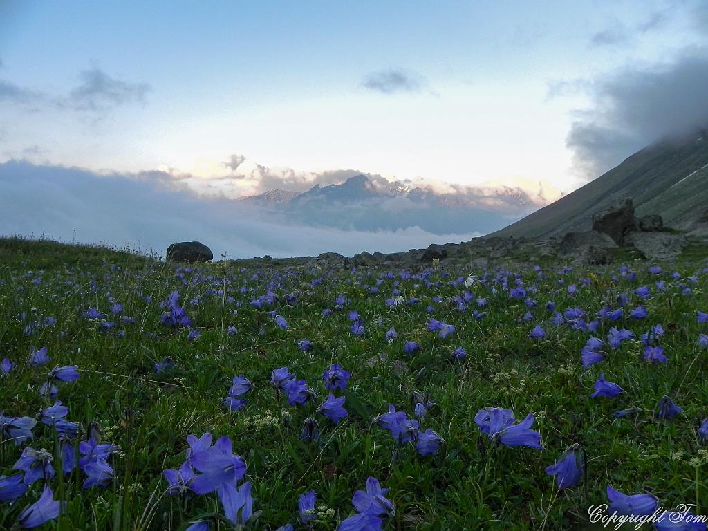 DSCN7434.jpg - Kazbegi