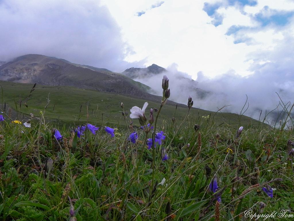 DSCN7440.jpg - Kazbegi