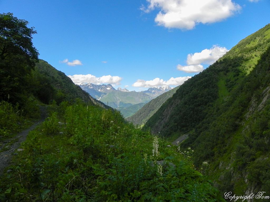 DSCN7679.jpg - Svanetie