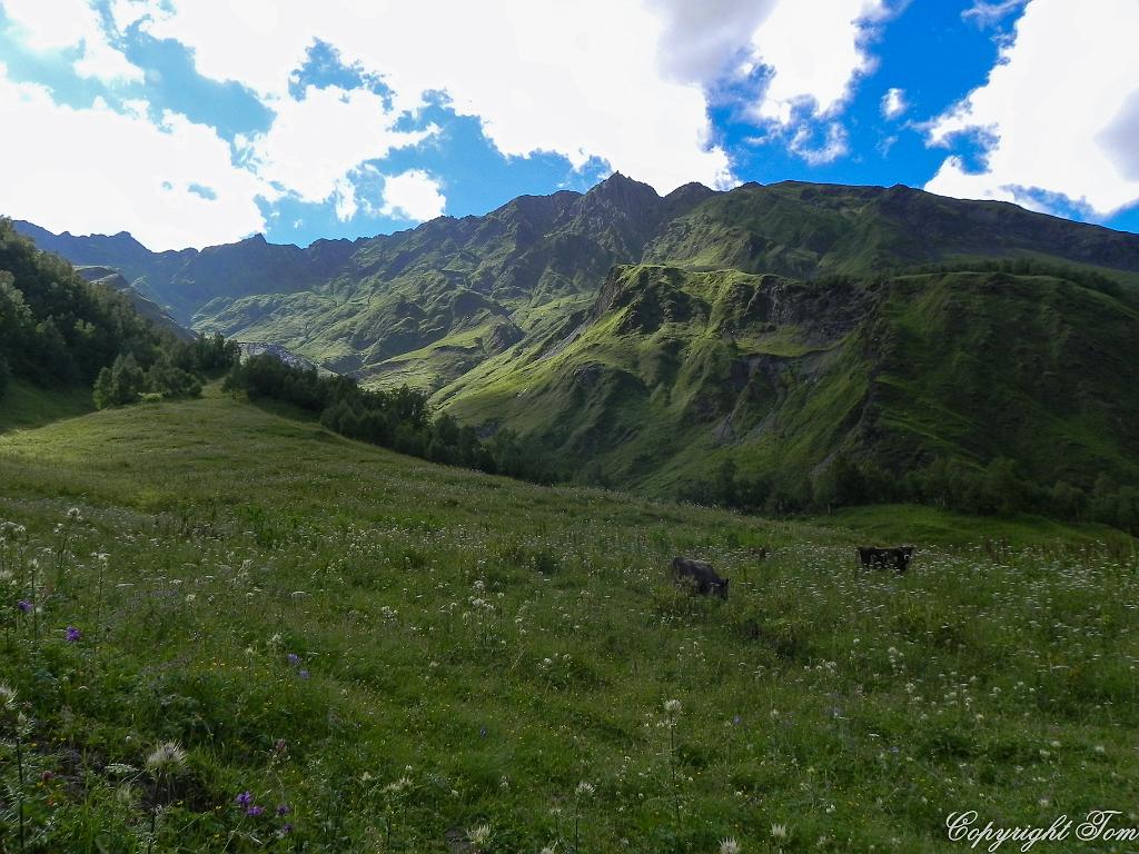 DSCN7687.jpg - Svanetie